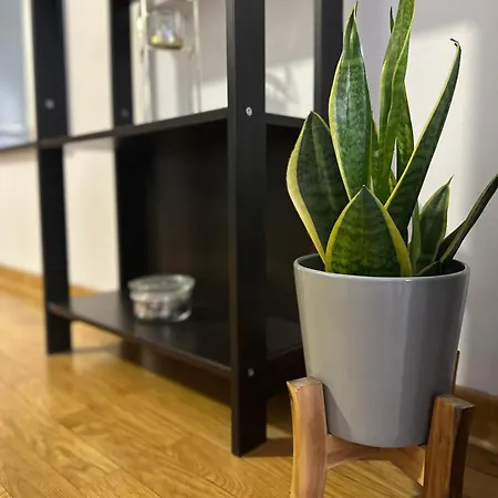 Charlie Aviv Park * Belgrad